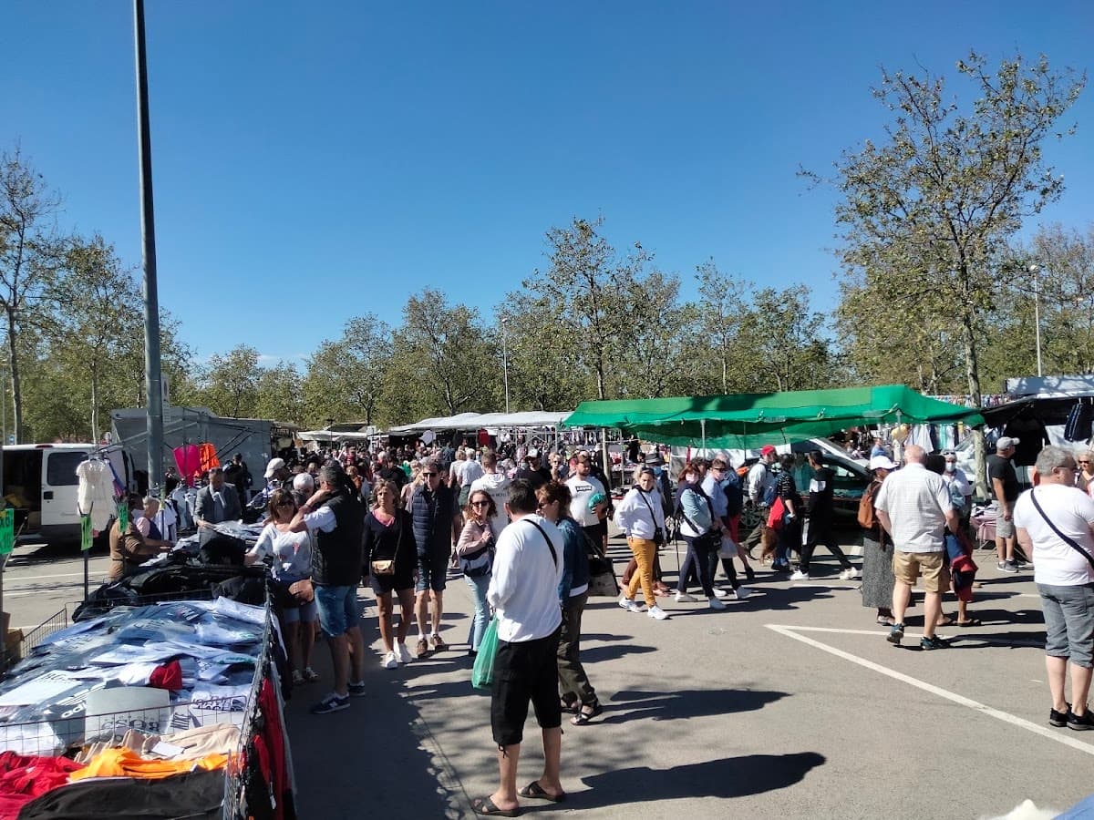 Markt van Roses