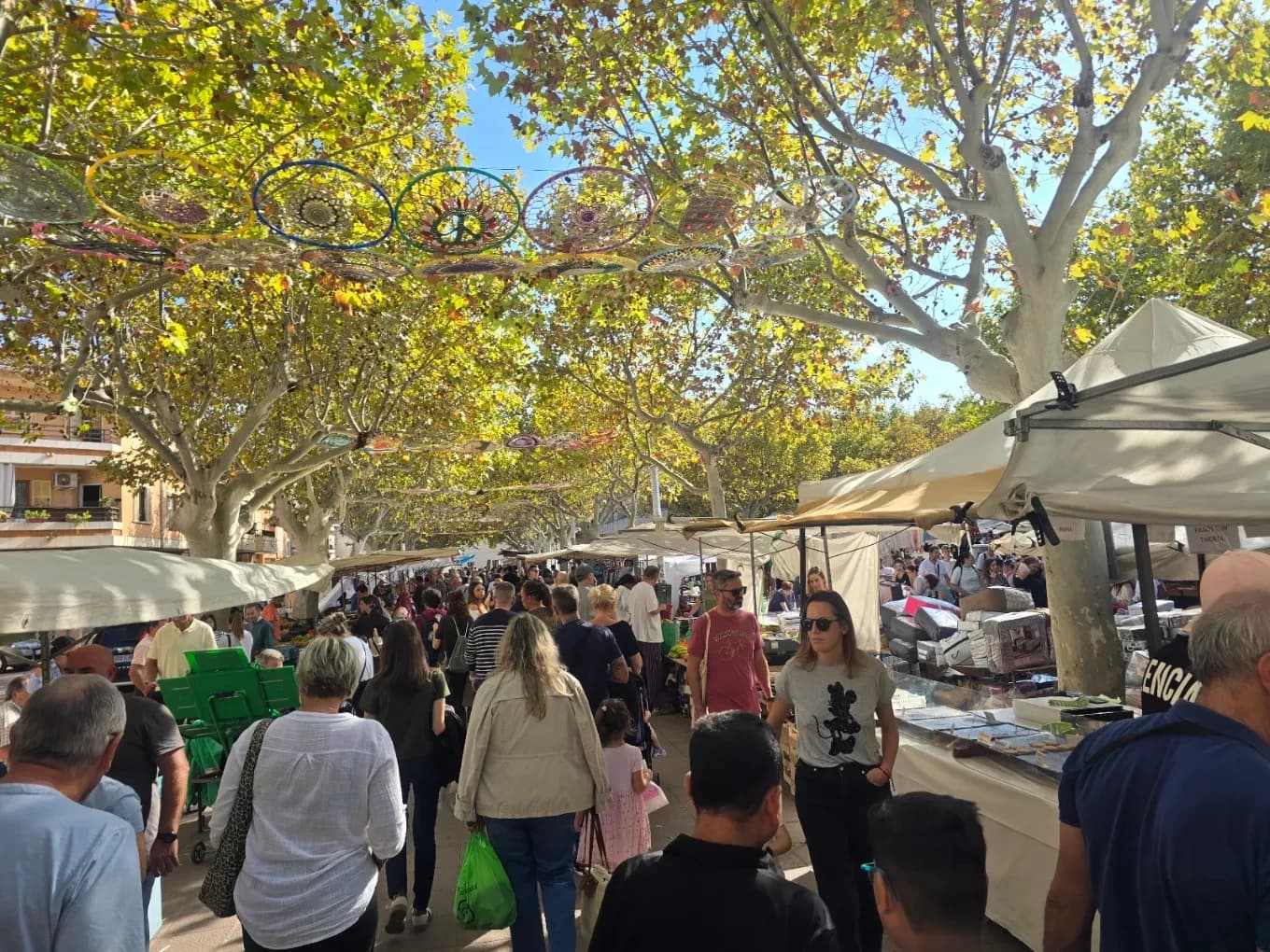 Wochenmarkt Santa Maria del Camí