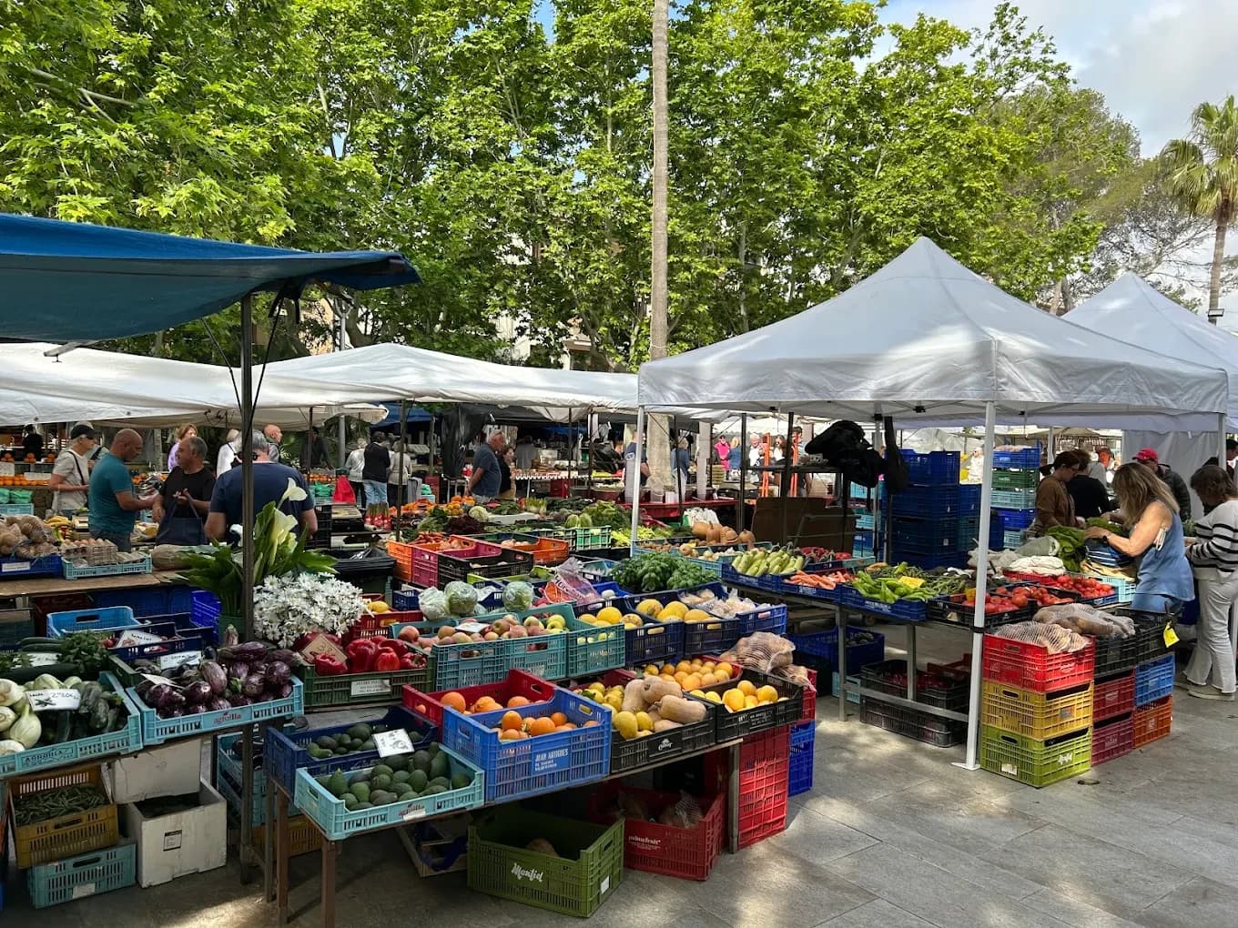 Markt van Port de Pollença