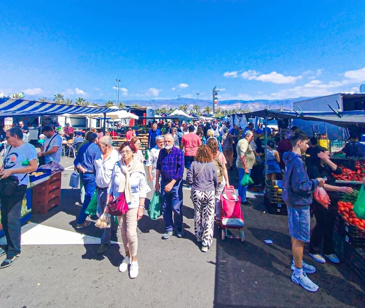 Imagen de Mercadillo de Roquetas de Mar