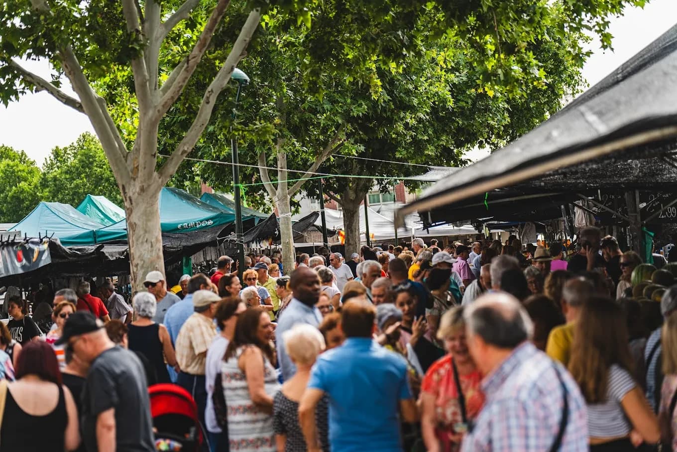 Imagen de Mercadillo de San Fernando de Henares