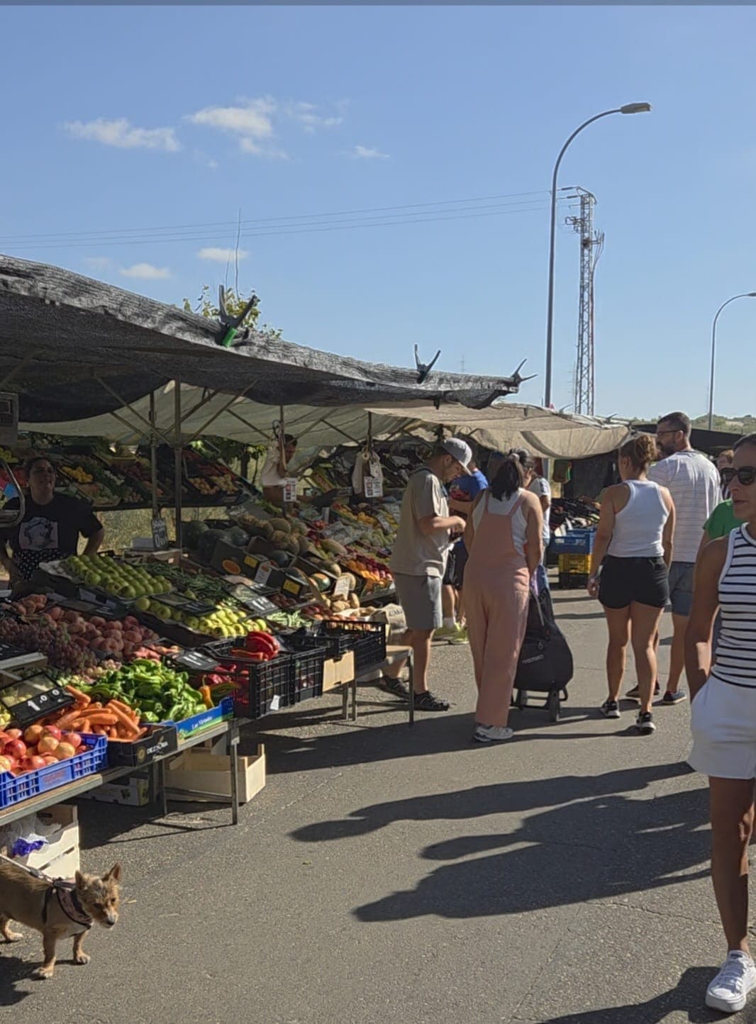 Imagen de Mercadillo del Sector XXIII