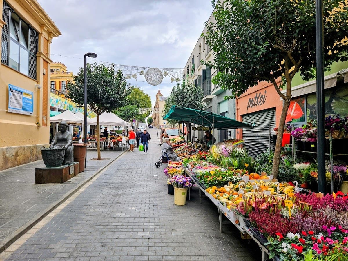 Markt van Palafrugell