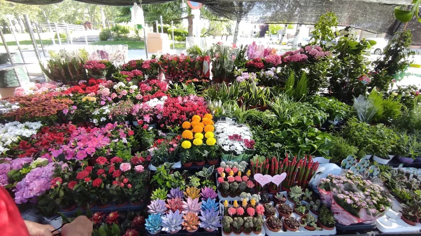 Imagen de Mercadillo de Valdemoro