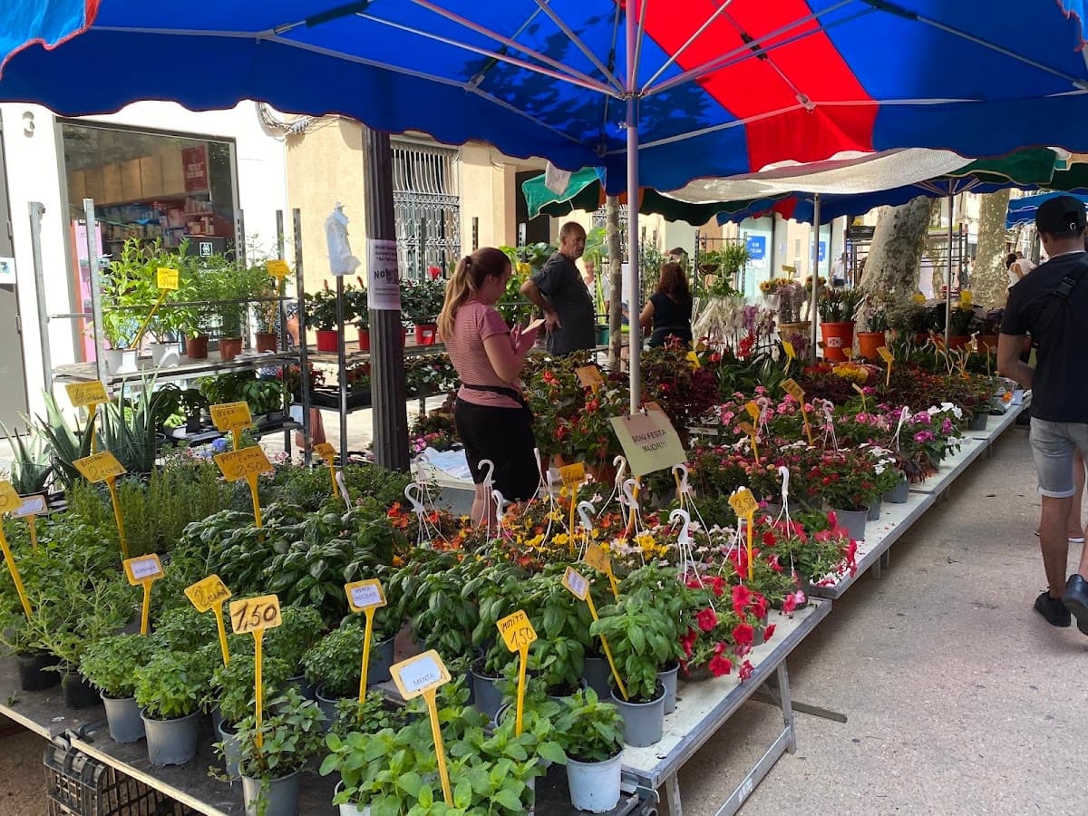 Groente- en fruitmarkt van Blanes