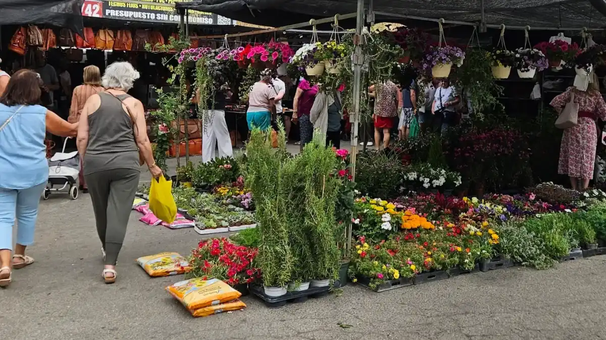 Imagen de Mercadillo de Benalmádena