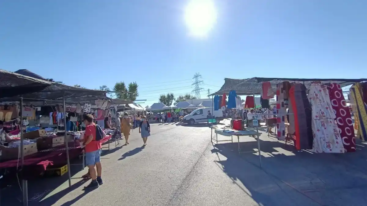 Bonavista Market