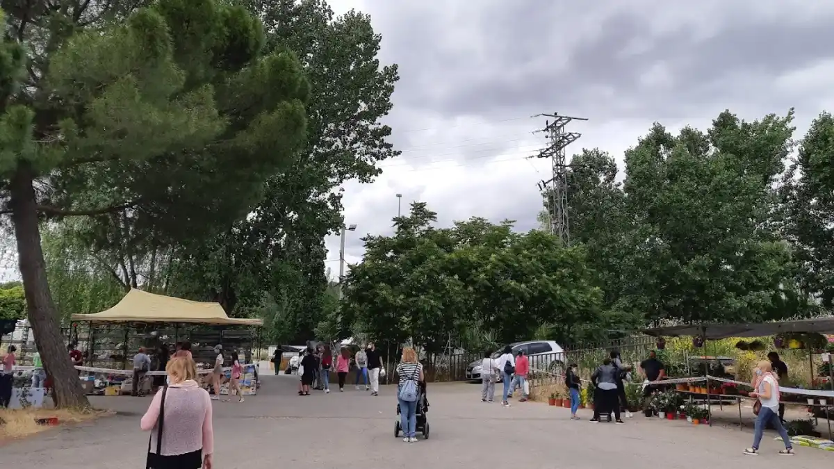 Imagen de Mercadillo de Cuenca