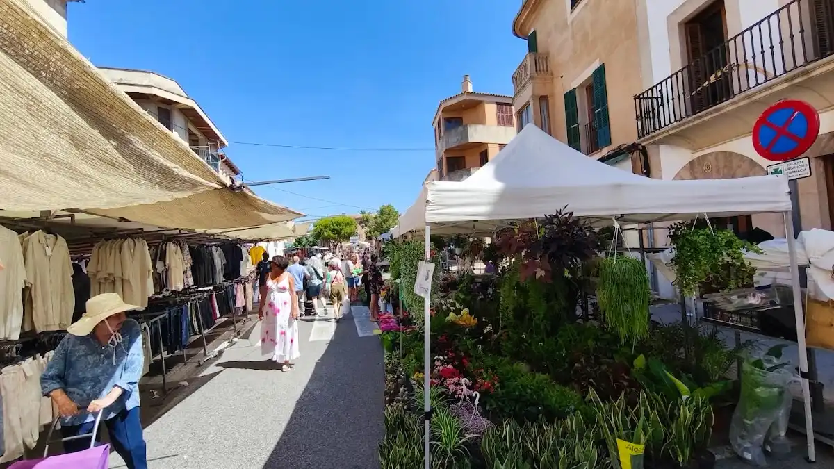 Campos Market