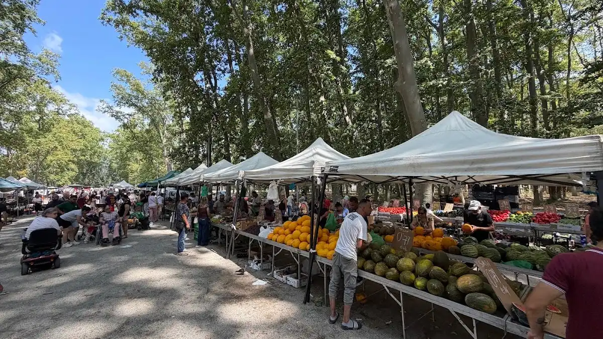 Imagen de Mercadillo de Girona