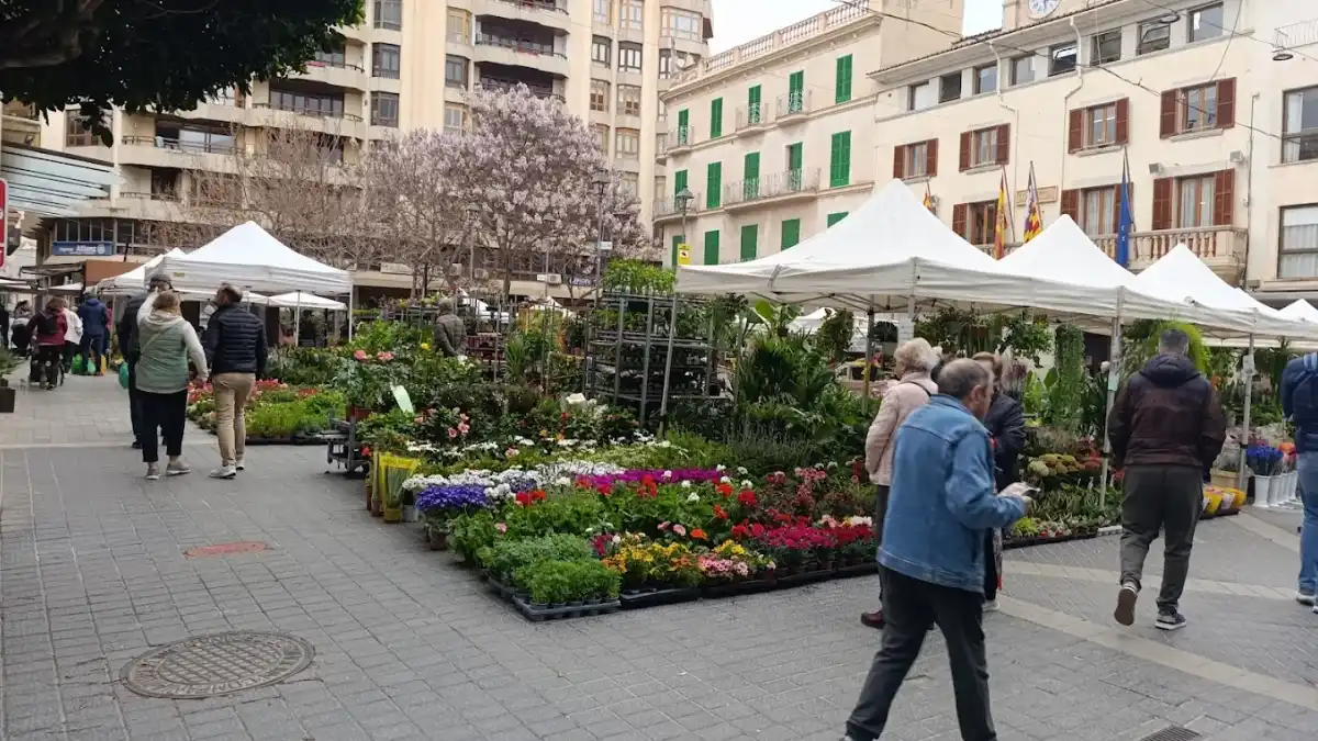 Inca Market