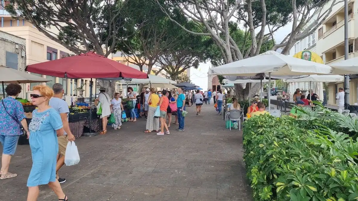 Bauernmarkt Güímar