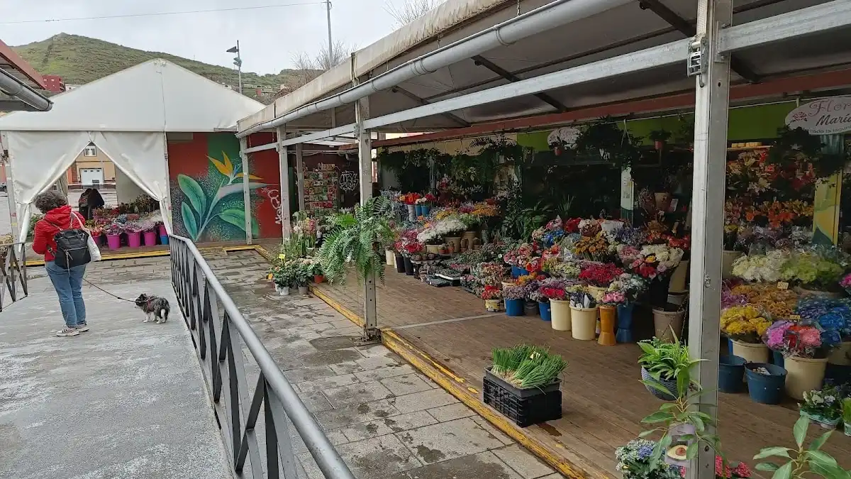 Marché fermier de La Laguna