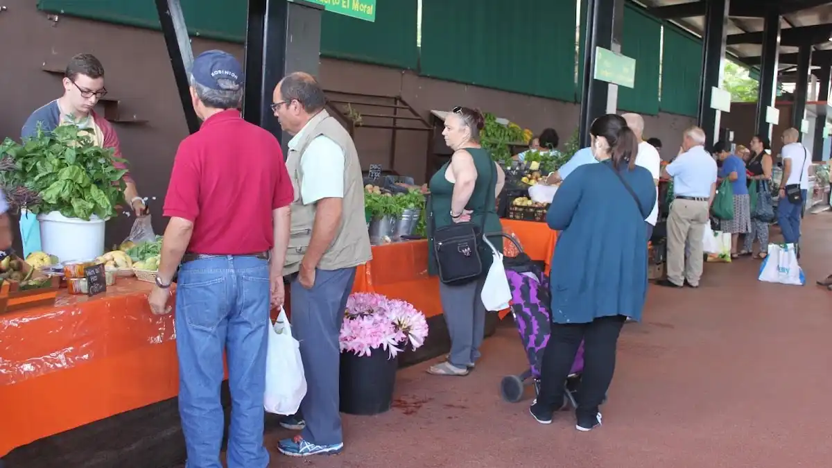 Imagen de Mercadillo del Agricultor de La Orotava