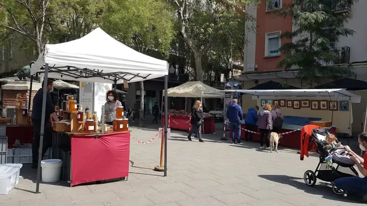 Imagen de Mercadillo Plaza de la Oca