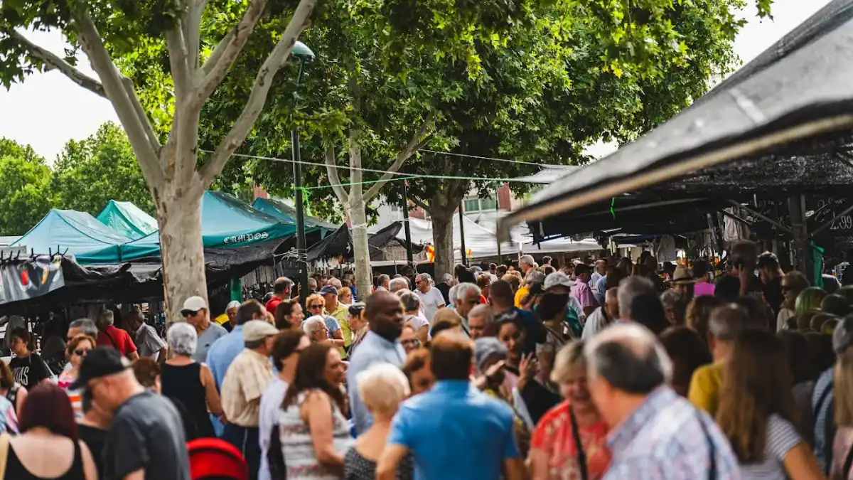 Imagen de Mercadillo de San Fernando de Henares