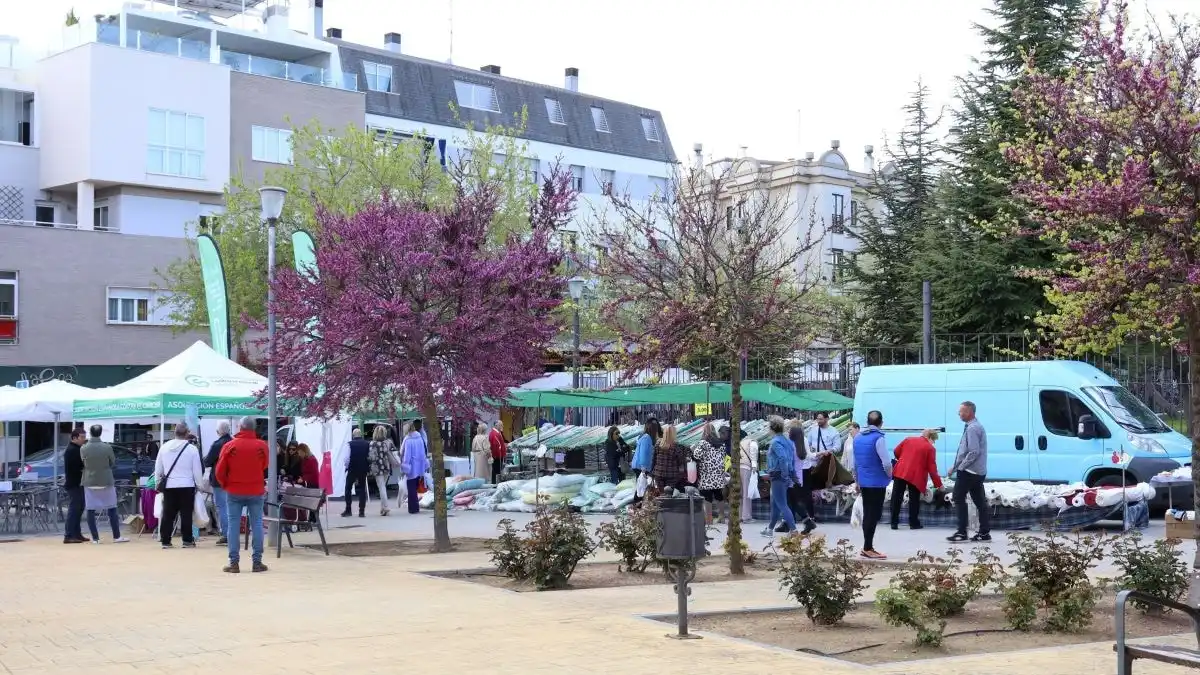 Imagen de Mercadillo de Úbeda