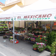 Puesto de mercadillo: Flores y plantas "El Mexicano"