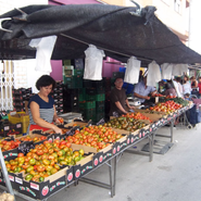 Puesto de mercadillo: Tomates Pacheco