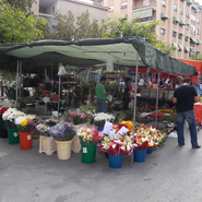 Puesto de mercadillo: Flores y plantas Chiteflor