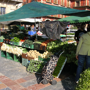 Puesto de mercadillo: Hortalizas Sanpimitola